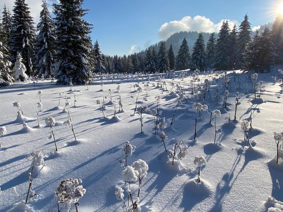Dans Hameau, Pres Des Pistes Logement De Plein Pied Au Calme Taninges Zewnętrze zdjęcie